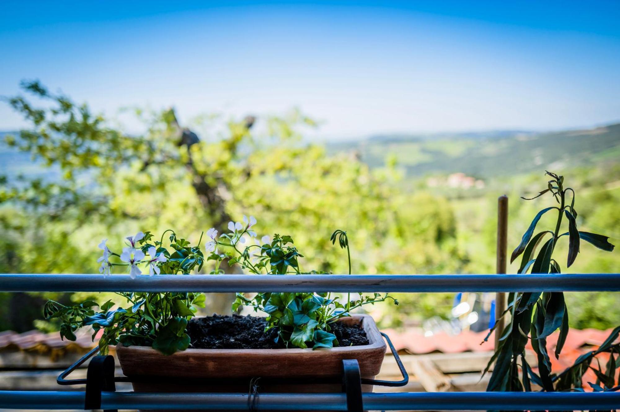 Il Risveglio Del Poggio Hotel Castiglione d'Orcia Exterior photo